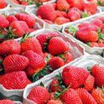 Aardbeien uit supermarkt bevatten vaak schadelijke bestrijdingsmiddelen